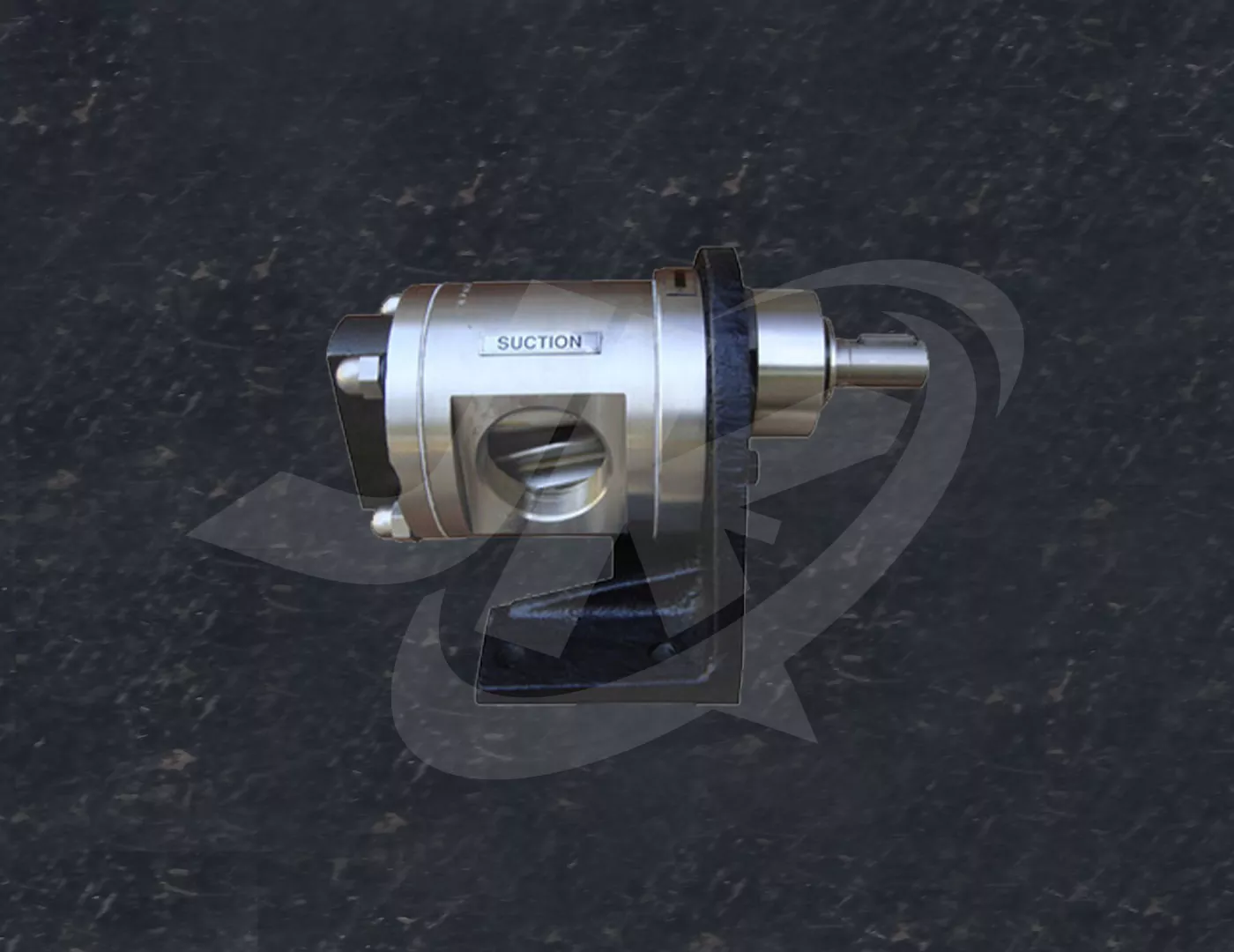 SS Rotary Gear Pump For Pharmaceutical Industry
